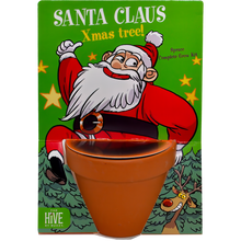 Load image into Gallery viewer, Holiday Plant Grow Bundle 2026 (Includes 4 Bestselling Kits)