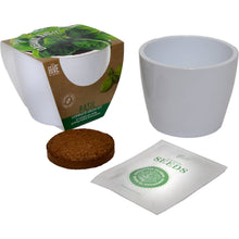 Load image into Gallery viewer, Classic Organic Basil Grow Kit - CLEARANCE ‼️