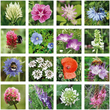 Load image into Gallery viewer, Mini Wildflower Seed Box | Seed Balls | Pollinator Gift