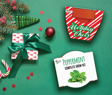 Load image into Gallery viewer, Holiday Candy Cane Mini Terracotta Pots (6-Pack Grow Kit)