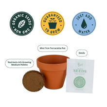 Load image into Gallery viewer, Holiday Mini Terracotta Sweater Assorted Grow Pots (12 Pack)