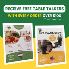 Load image into Gallery viewer, Exotic Banana Plant Grow Kit | Indoor - CLEARANCE ‼️