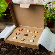 Load image into Gallery viewer, Medium Wildflower Seed Box | Seed Balls | Flower Gift Set