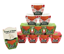 Load image into Gallery viewer, Holiday Plant Grow Bundle 2026 (Includes 4 Bestselling Kits)