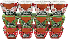 Load image into Gallery viewer, Holiday Mini Terracotta Sweater Assorted Grow Pots (12 Pack)