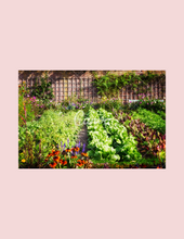 Load image into Gallery viewer, Garden Planner-digital