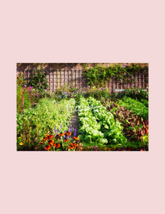 Garden Planner-digital