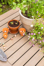 Load image into Gallery viewer, Medium Wildflower Seed Box | 9-pc Holiday Winter Gift Set