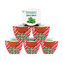 Load image into Gallery viewer, Holiday Candy Cane Mini Terracotta Pots (6-Pack Grow Kit)