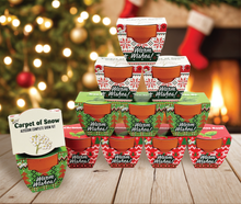 Load image into Gallery viewer, Holiday Mini Terracotta Sweater Assorted Grow Pots (12 Pack)