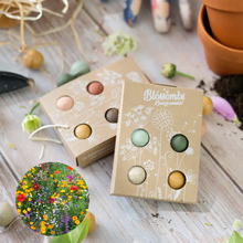 Load image into Gallery viewer, Colorful Xmas Mini Box | Seed Bombs | Wildflower Seeds