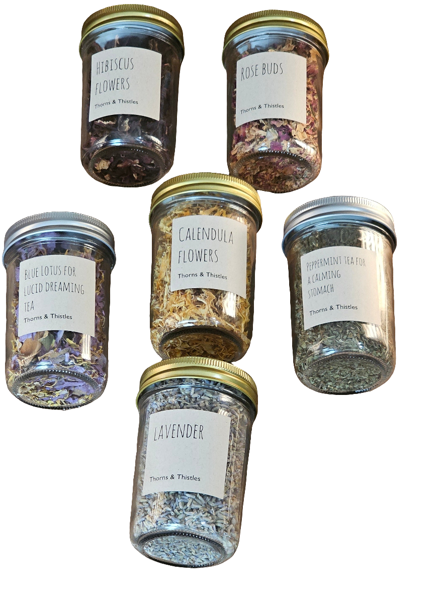 Herbs in mason jars