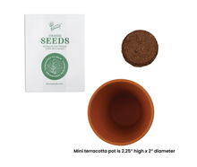 Load image into Gallery viewer, Holiday Mini Terracotta Sweater Assorted Grow Pots (12 Pack)