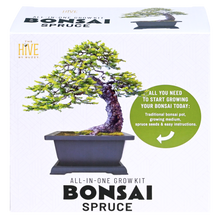 Load image into Gallery viewer, Holiday Plant Grow Bundle 2026 (Includes 4 Bestselling Kits)