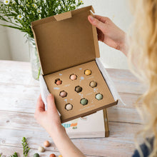Load image into Gallery viewer, Medium Wildflower Seed Box | 9-pc Holiday Winter Gift Set