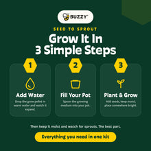Load image into Gallery viewer, Holiday Plant Grow Bundle 2026 (Includes 4 Bestselling Kits)